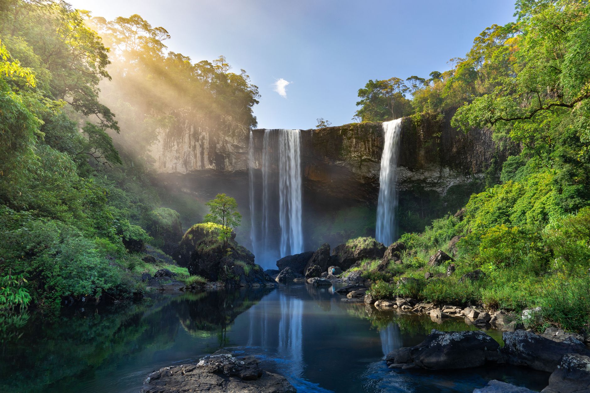 What Nature Topic Captures Your Wonder?