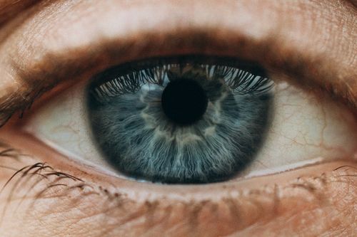 Free Macro photograph showcasing a close-up view of a blue human eye with detailed iris patterns. Stock Photo