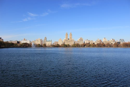 Gratis lagerfoto af by, byer, central park