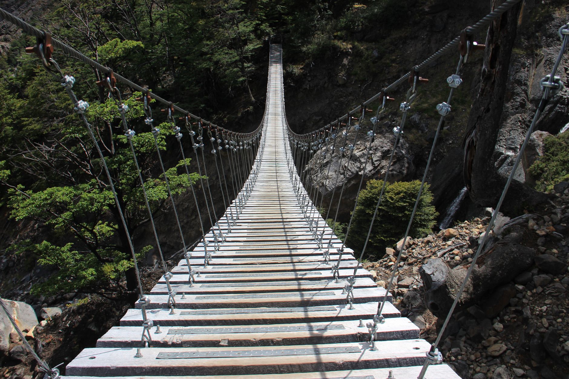 Dramatic view of a wooden suspension bridge stretching through a forested landscape.