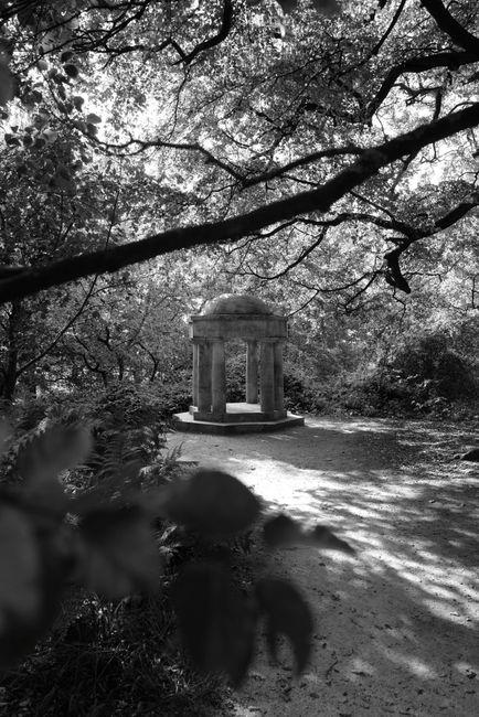 A serene monochrome image of a garden gazebo surrounded by trees in Edinburgh, Scotland.