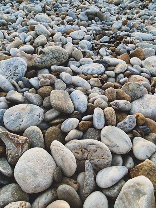 Gray and Brown Stones on Ground