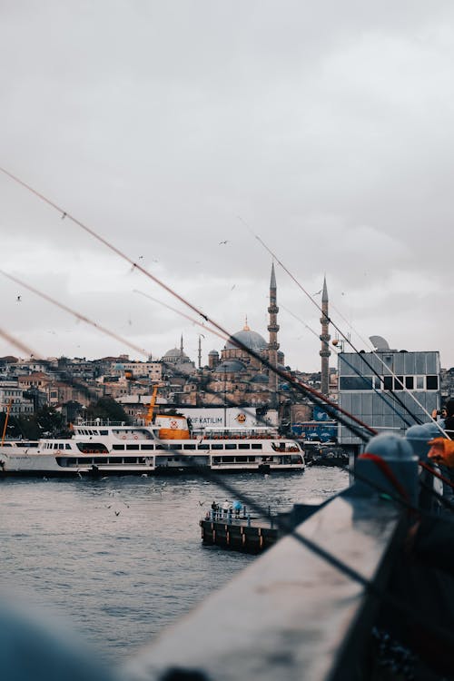 Waterfront with Mosque and Ferry and Fishing Rods on a Bridge