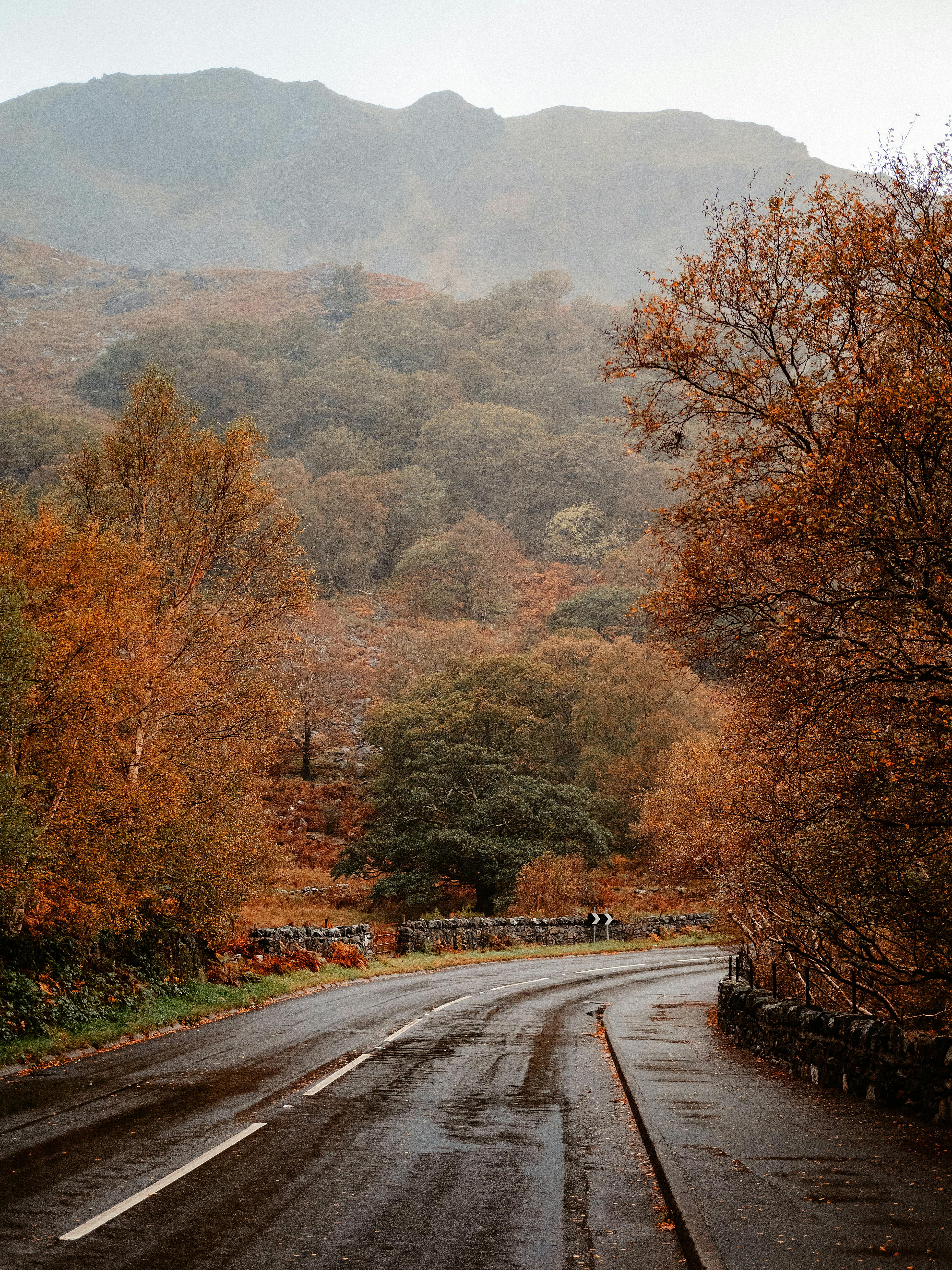 road in mountains on wet autumn day