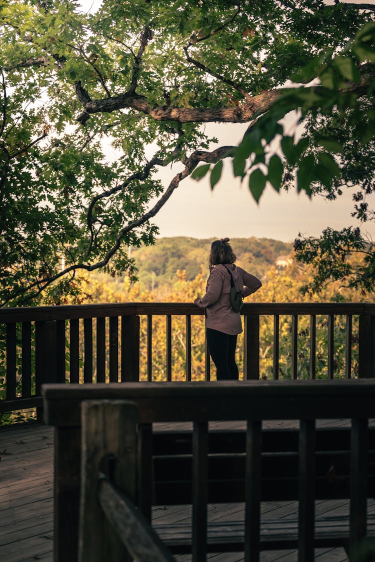 Woman Standing On Wooden Platform Overlooking Forest