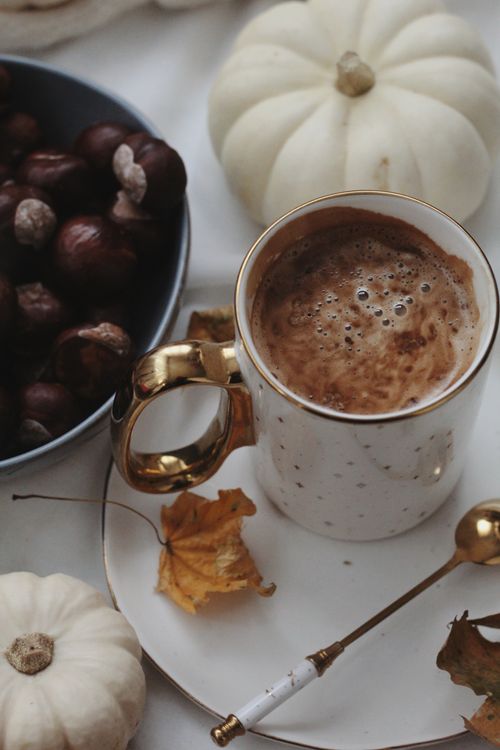 Free Warm cup of coffee with chestnuts and pumpkins, a perfect autumn setting. Stock Photo