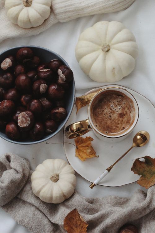 Free Warm autumn scene featuring coffee, chestnuts, white pumpkins, and fallen leaves. Stock Photo
