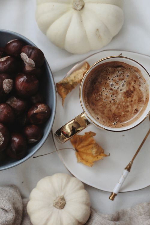 Free Warm coffee with chestnuts and decorative pumpkins on an autumn-themed setup. Stock Photo