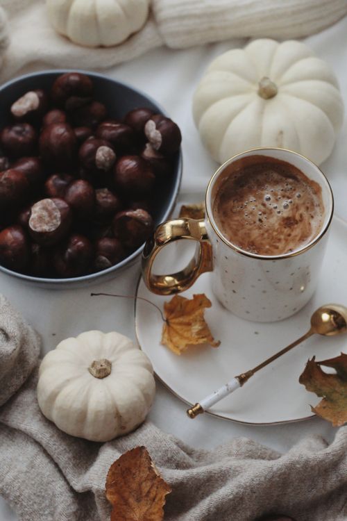 Free Relaxing autumn flat lay with coffee, chestnuts, and pumpkins on a rustic table. Stock Photo