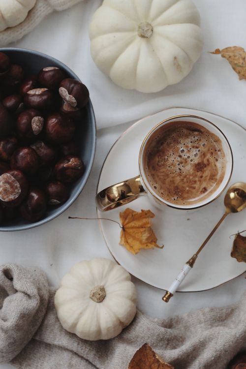 Free Warm autumn setup with coffee, chestnuts, and small white pumpkins on a blanket. Stock Photo