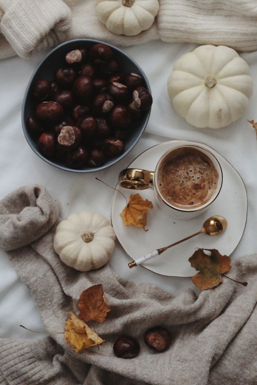 Free Warm autumn scene with chestnuts, coffee, white pumpkins, and fallen leaves. Stock Photo