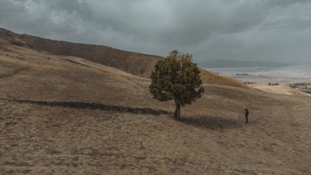 Photo by Portrenk