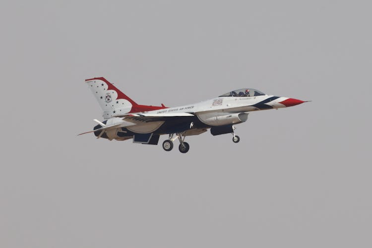 Thunderbird Flying Against Gray Sky