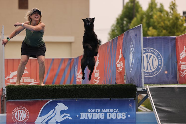 Jumping Dog During Competition