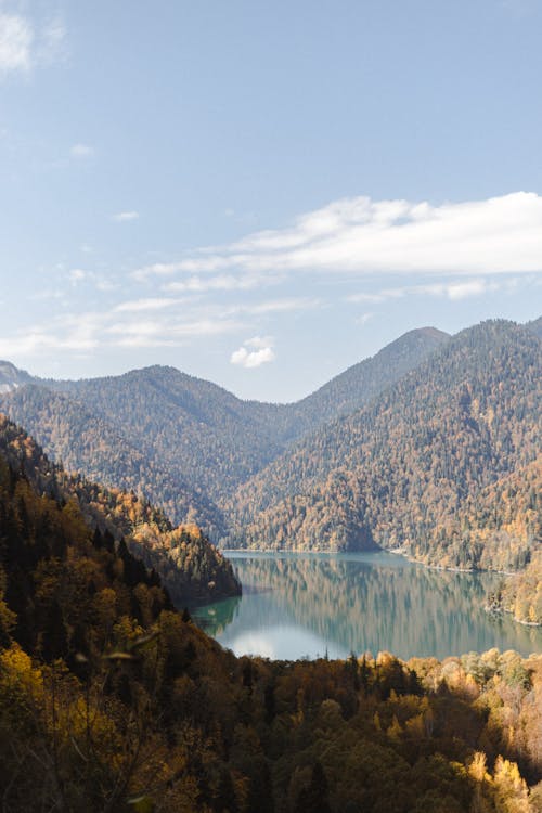 Darmowe zdjęcie z galerii z chmura, drzewo, góra