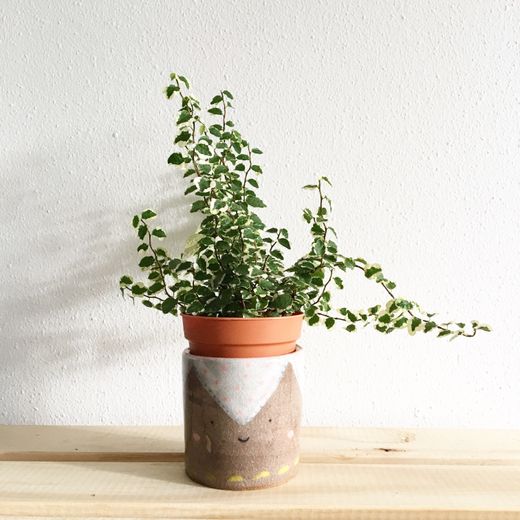 Trailing houseplant in a speckled stoneware planter — photo by Stephanie Ho on Pexels