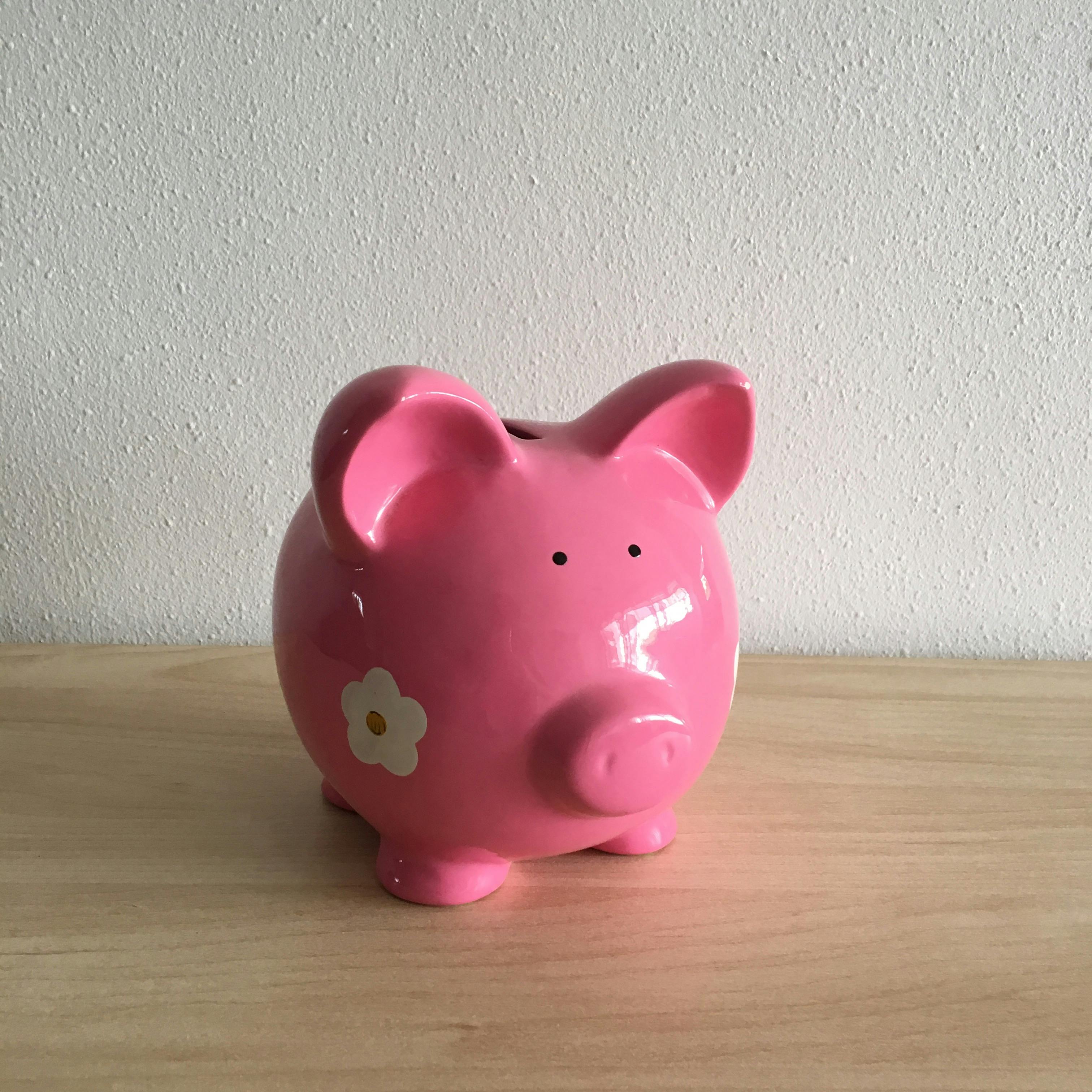 Free stock photo of ceramic, pig, piggy bank