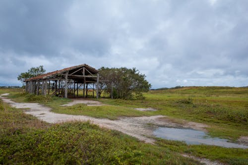 ファーム, 牧草地, 田舎の無料の写真素材