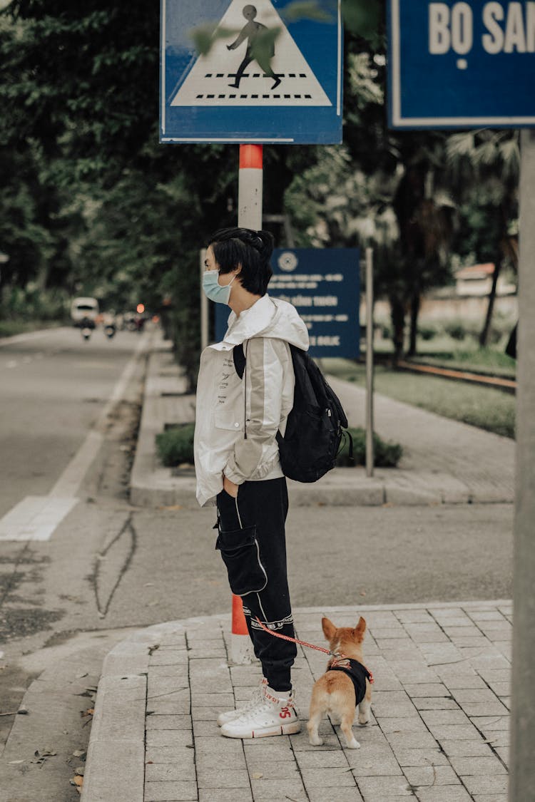 Woman With Dog Waiting At Zebra Crossing