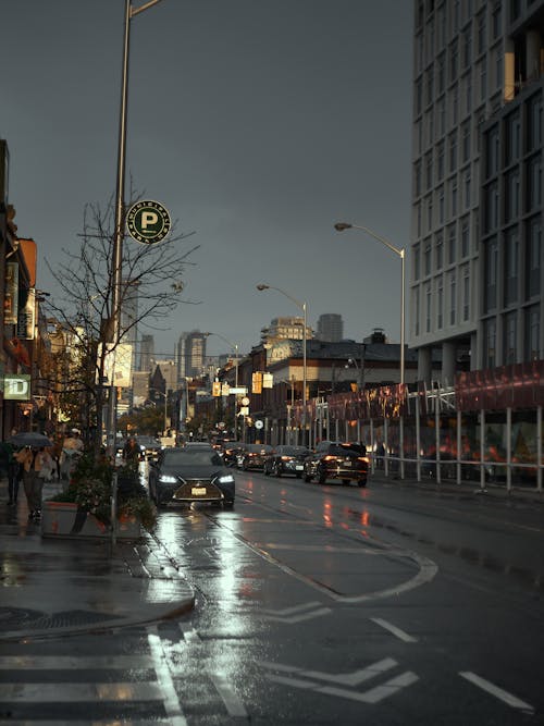 Free stock photo of car, city, rain