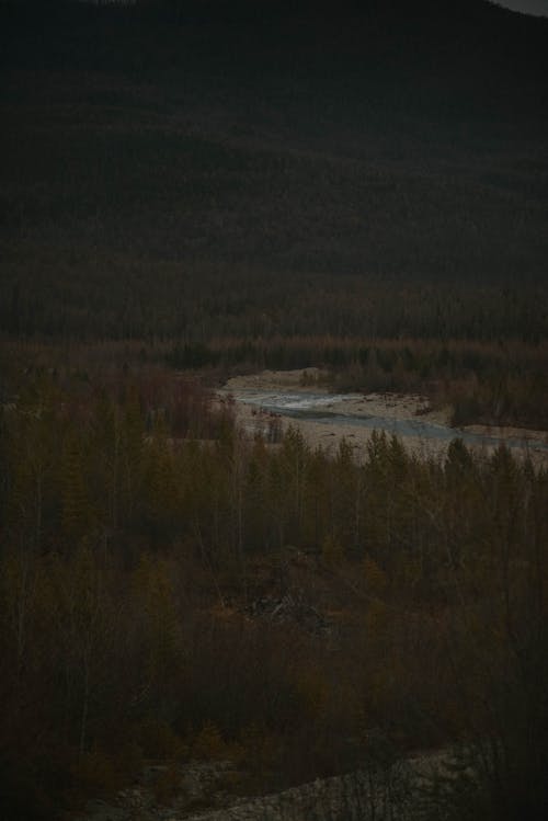 Fotobanka s bezplatnými fotkami na tému abstraktný, atmosféra, krajina