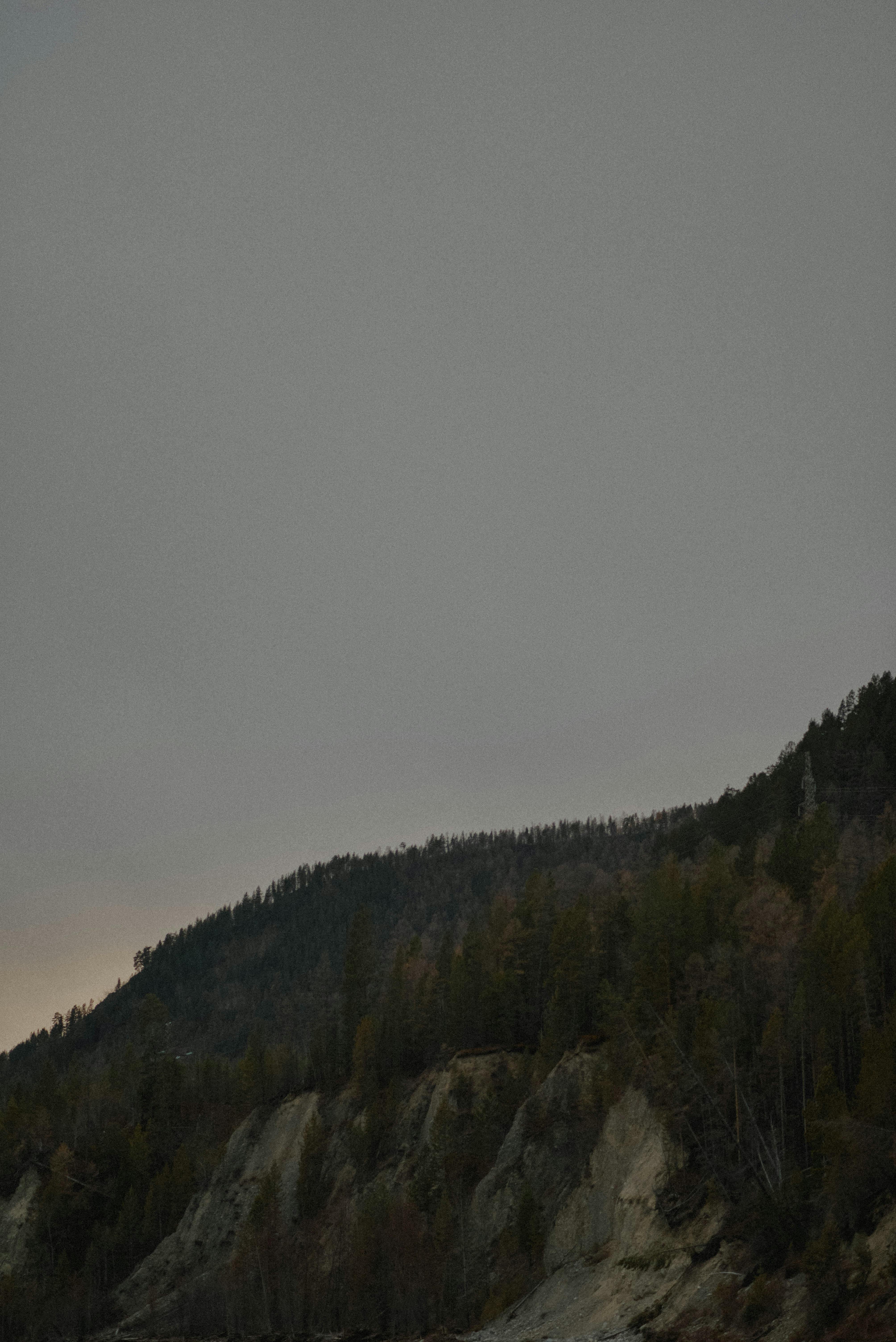 Gloomy mountain scene with trees and overcast sky at twilight, perfect for serene nature backdrops.