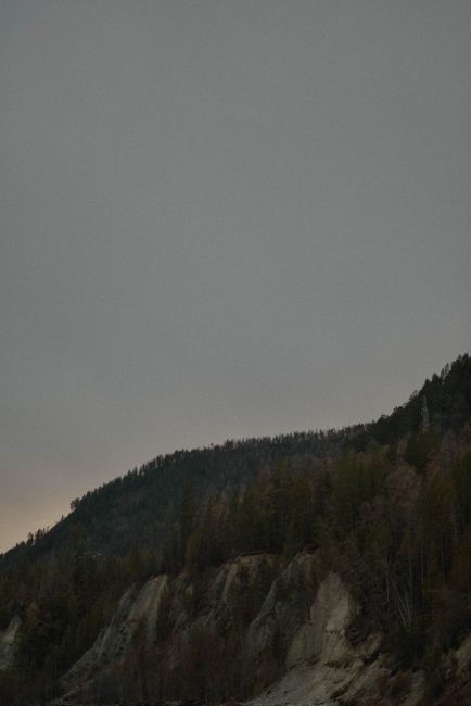 Gloomy mountain scene with trees and overcast sky at twilight, perfect for serene nature backdrops.