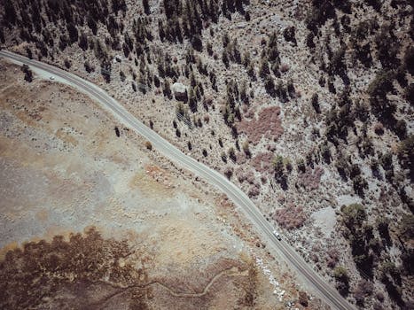 Drone shot of a winding road through a dry, forested landscape, highlighting natural textures.