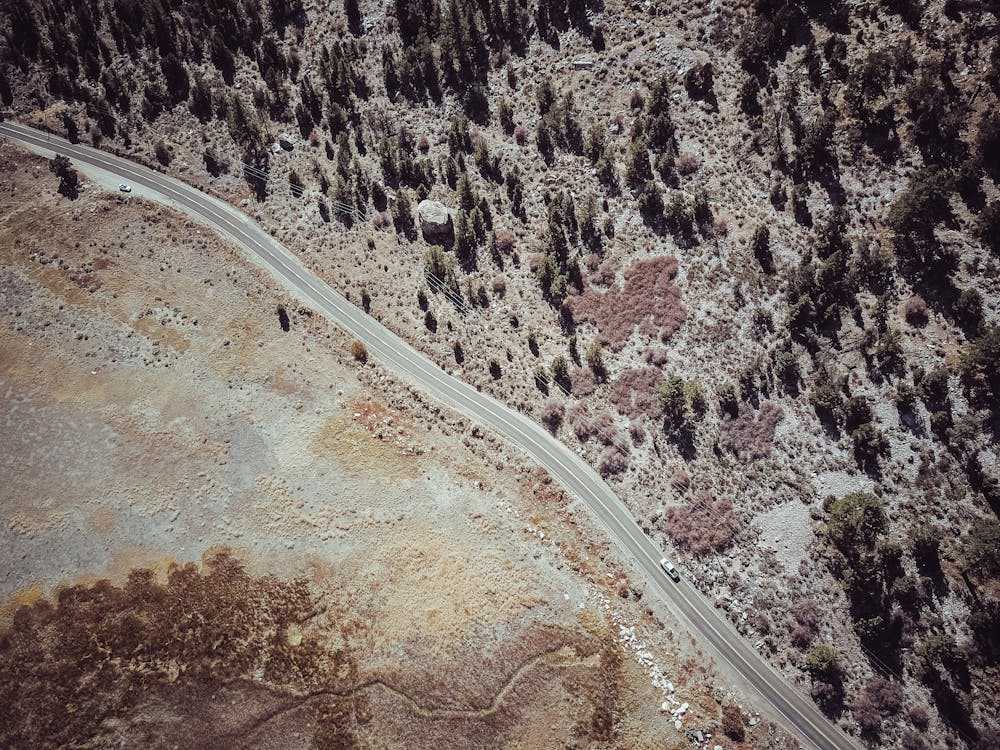 Aerial View of Road Between Trees