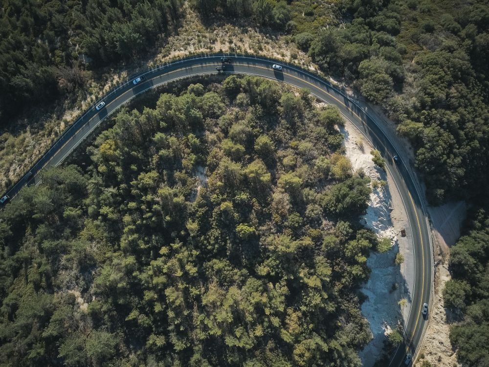 Forest road winding beneath the drone during the shoot
