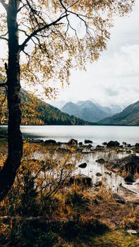 Image by Lena Sova