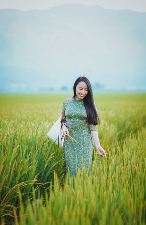 A Woman Walking in the Rice Field
