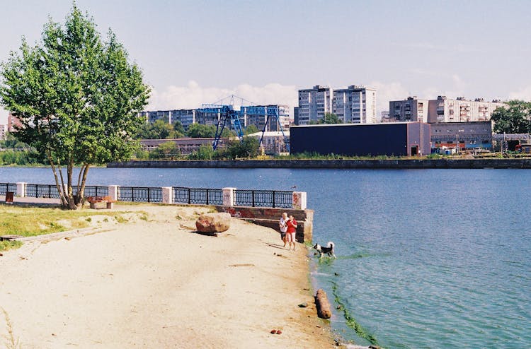 Elderly Women And A Dog At A Riverbank