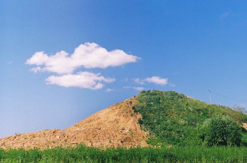 Gratis stockfoto met bomen, heldere blauwe lucht, heuvel