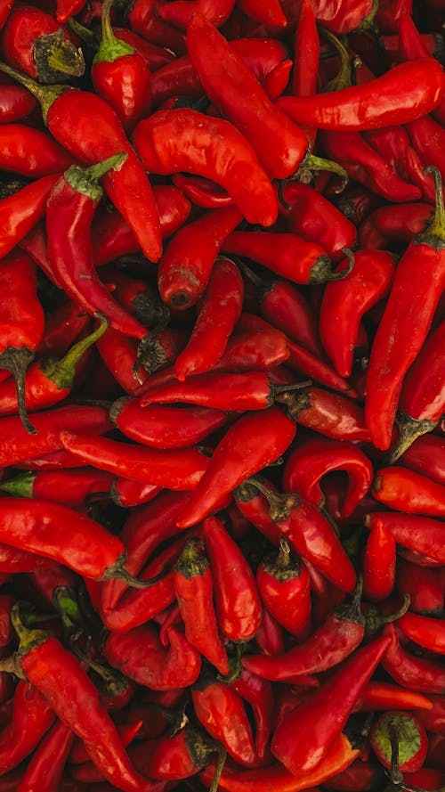 Kostnadsfri bild av chili peppar, färsk, kajenn