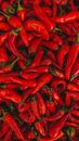 Red Chili Peppers on White Ceramic Plate