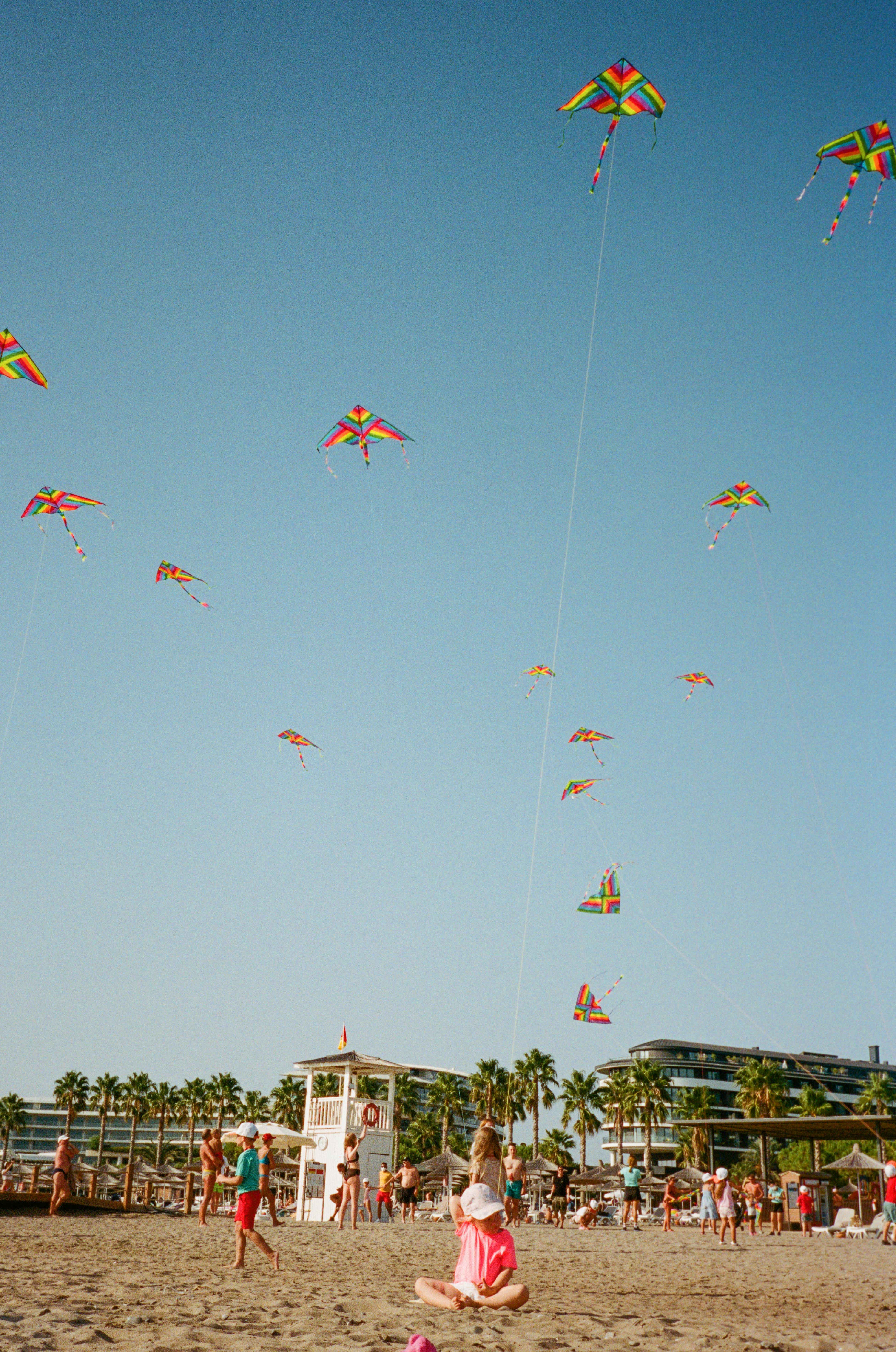 people flying kites on the beach