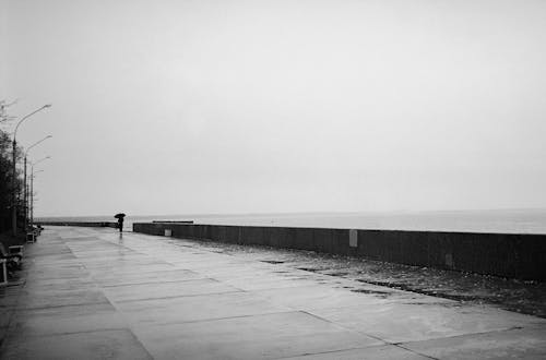 Black and White Photograph of a Waterfront in a Rain