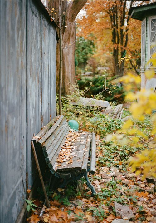 Free Rustic garden with an aging wooden bench amidst autumn leaves in Saint Petersburg, Russia. Stock Photo