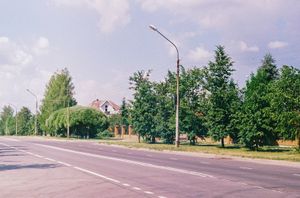 Tree-lined road at Marrowfield Rise — photo by Алексей Виноградов on Pexels