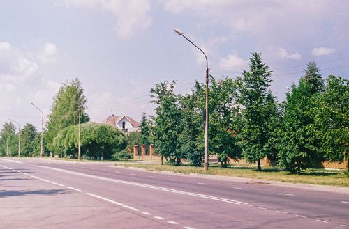 Free A quiet suburban road surrounded by lush green trees and street lamps on a sunny day. Stock Photo