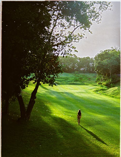 Aerial Photography of a Woman Standing on Green Grass Field near Green Trees