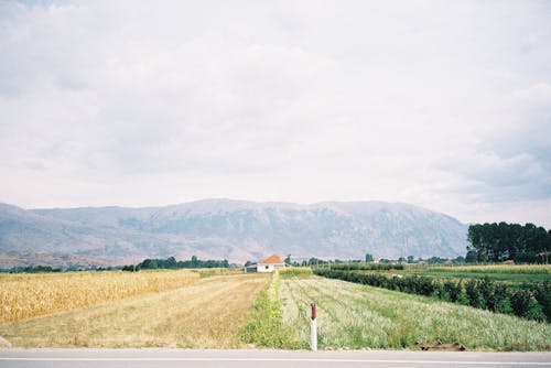 Clouds over Rural Fields