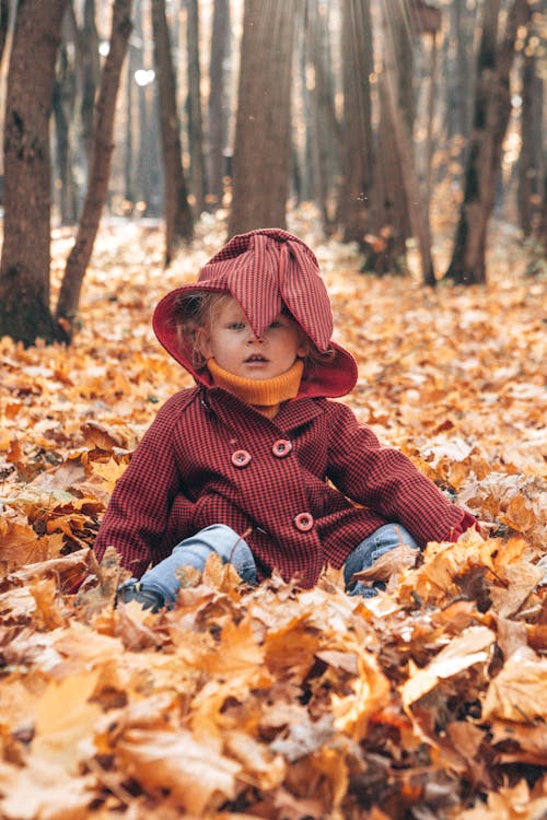 Kostenloses Stock Foto zu herbst, kind, mädchen