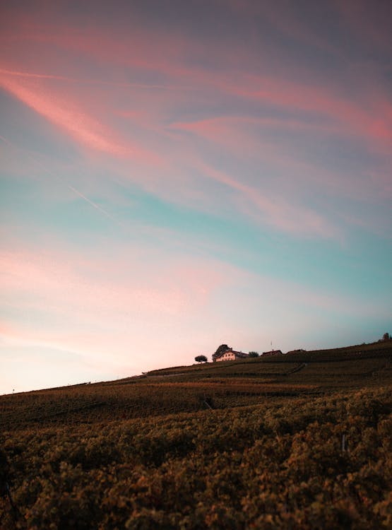 A House on Grass Field Under the Twilight Sky 