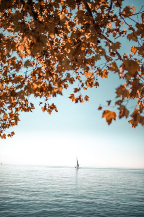 Gratis stockfoto met boot, gebied met water, oceaan