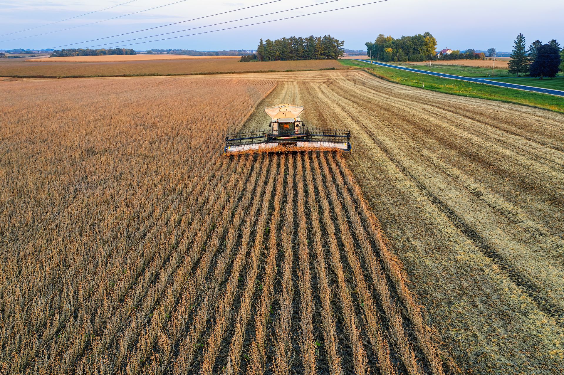Combine Harvester on Soybean Field