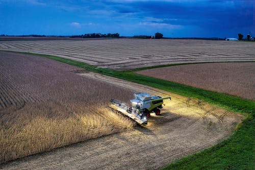 Combine Harvester on Soybean Field in Evening