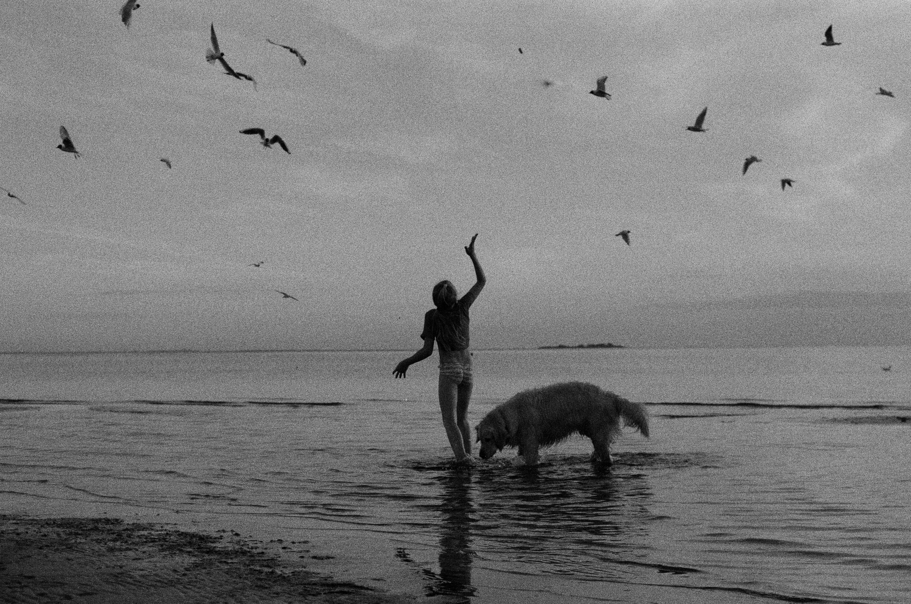 Monochrome beach scene with woman and dog at sunset, Saint Petersburg.