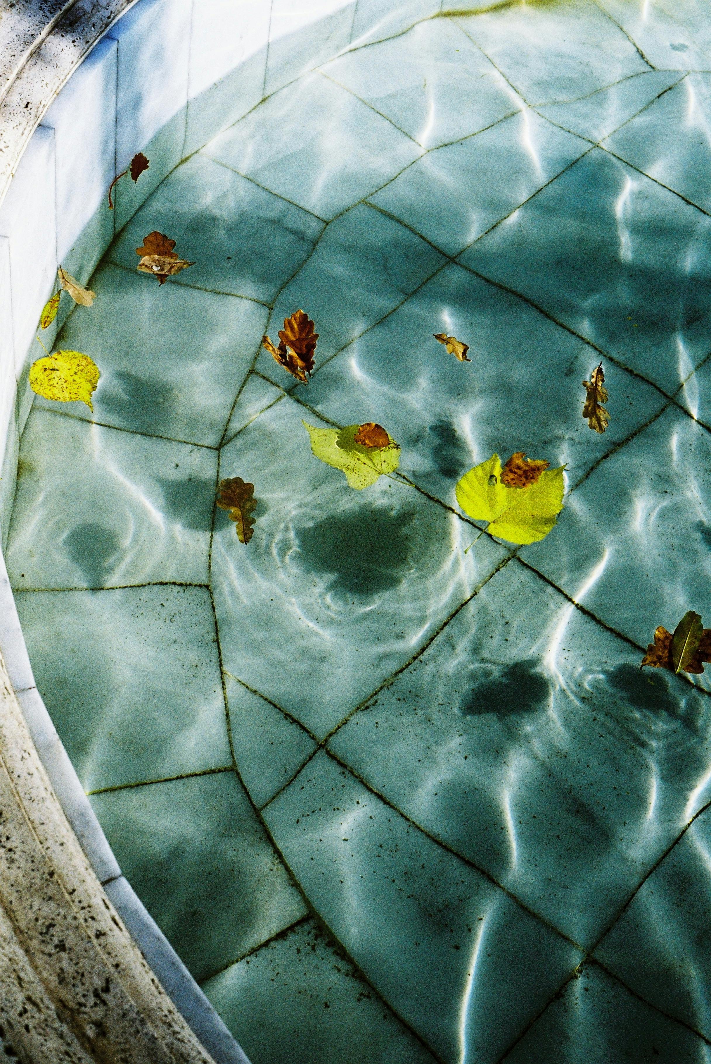 Clear water in a tiled pool with autumn leaves creates a serene scene.